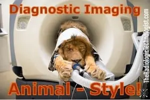 veterinary-diagnostic-imaging-rad-tech-vet