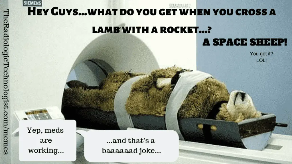 funny-radiology-memes-sheep