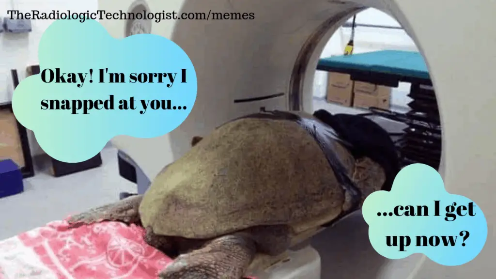 radiology-memes-turtle