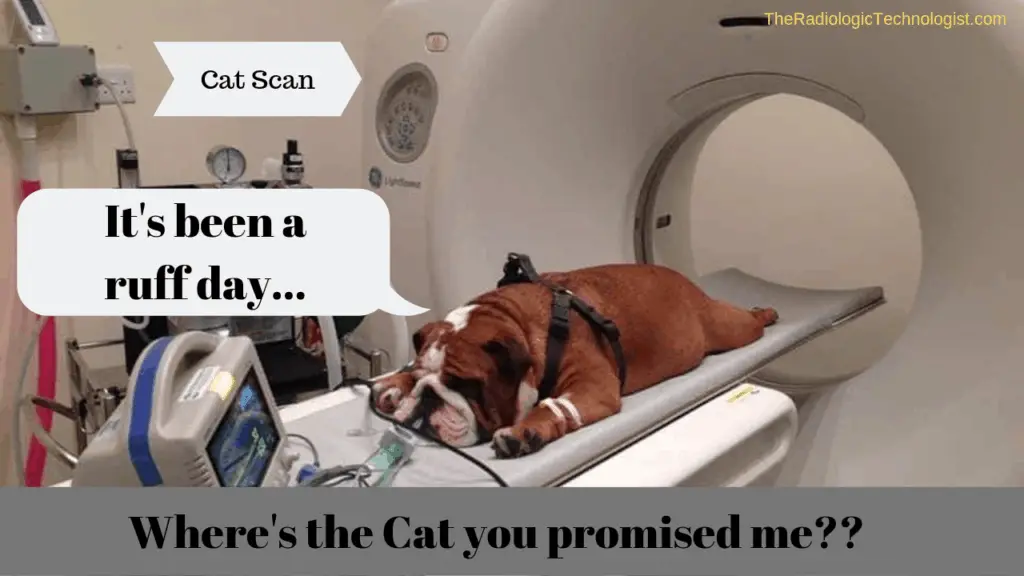 radiology=memes-funny-bulldog