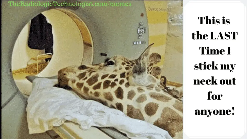 radiology-memes-giraffe