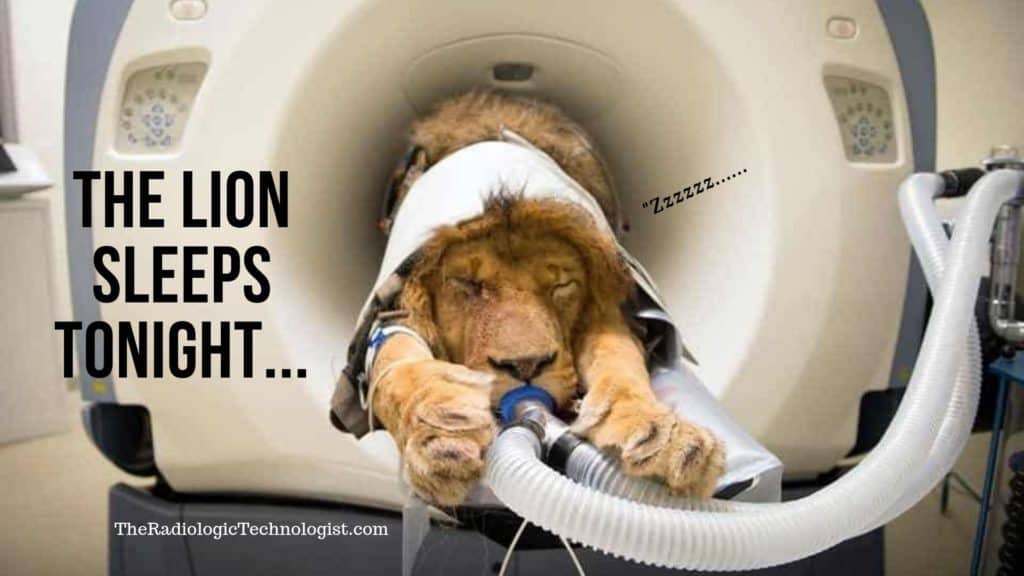 radiology-memes-the-lion-sleeps-tonight