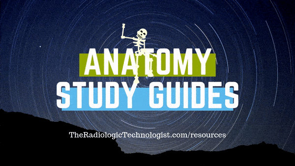 rad-tech-anatomy-study-guide