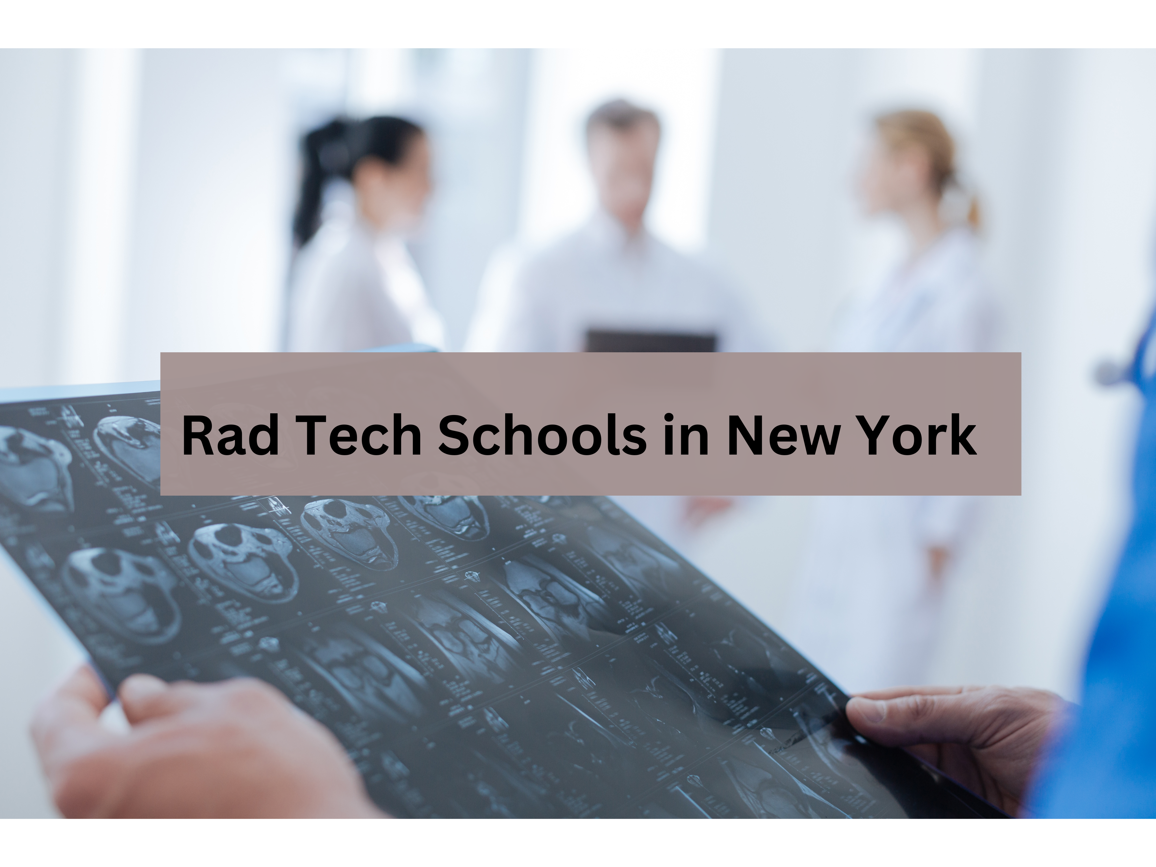 Rad Tech Schools in New York