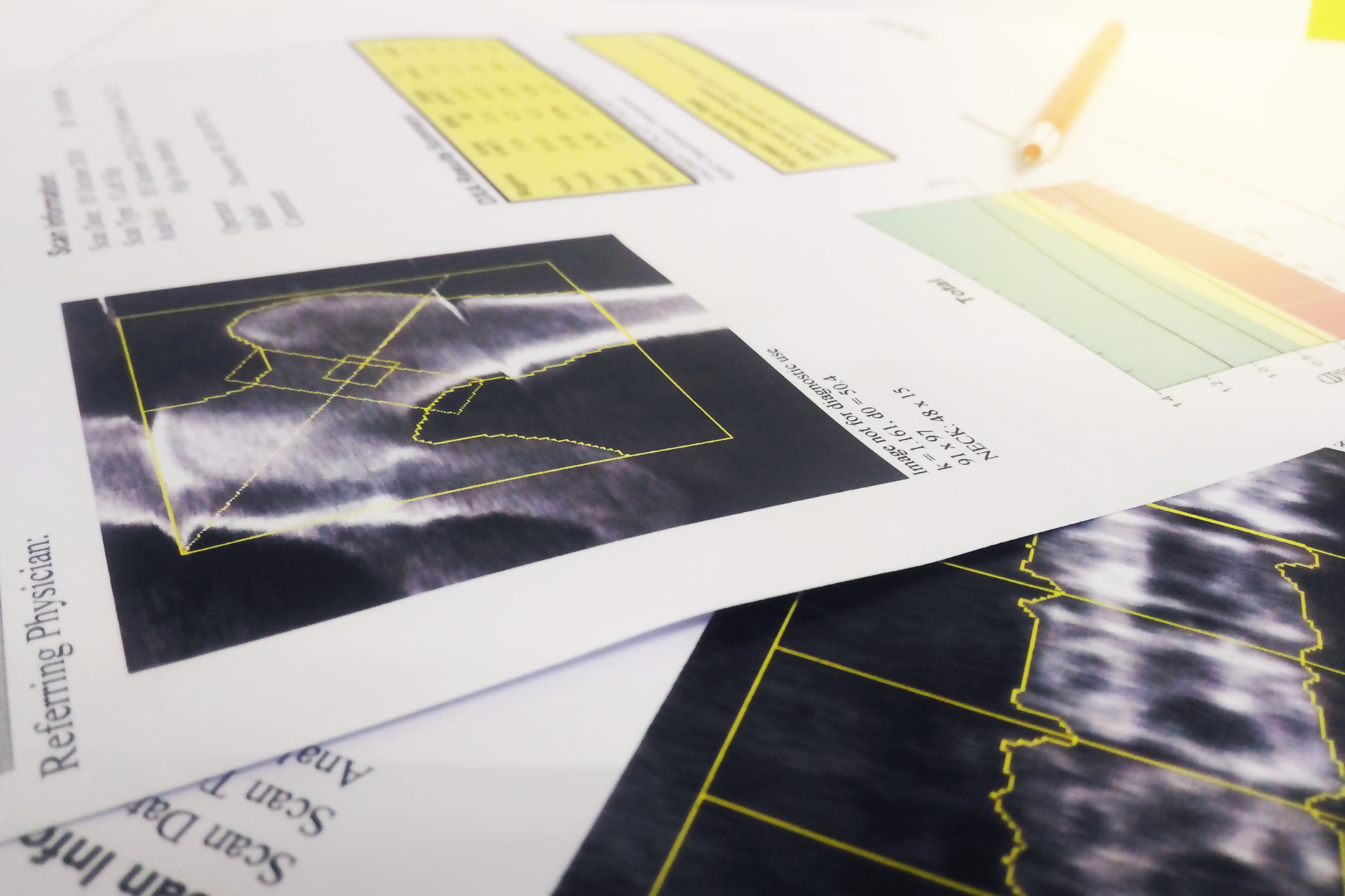 Bone Densitometry for Technologists, Radiologic Technologist Career Guide